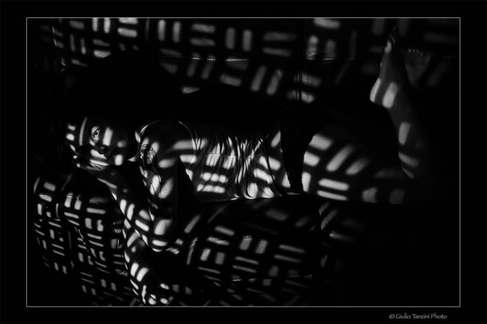 Ritratti e book fotografici