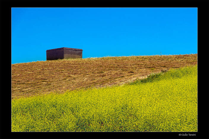 Colori
